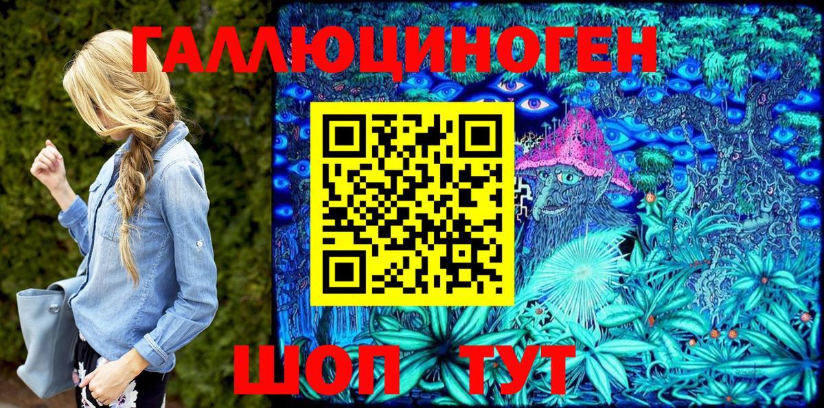 Псилоцибиновые грибы Psilocybe Кизляр