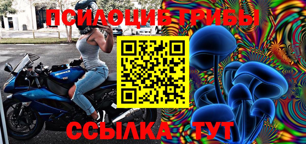 Псилоцибиновые грибы Cubensis  купить   Кизляр  Вход с VPN 